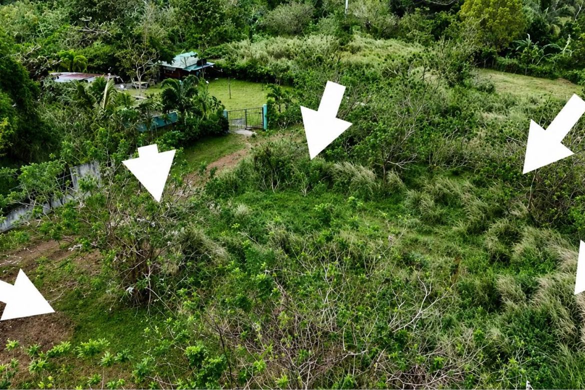 Land for Sale in Halayhayin, Pililla, Rizal – photo 2