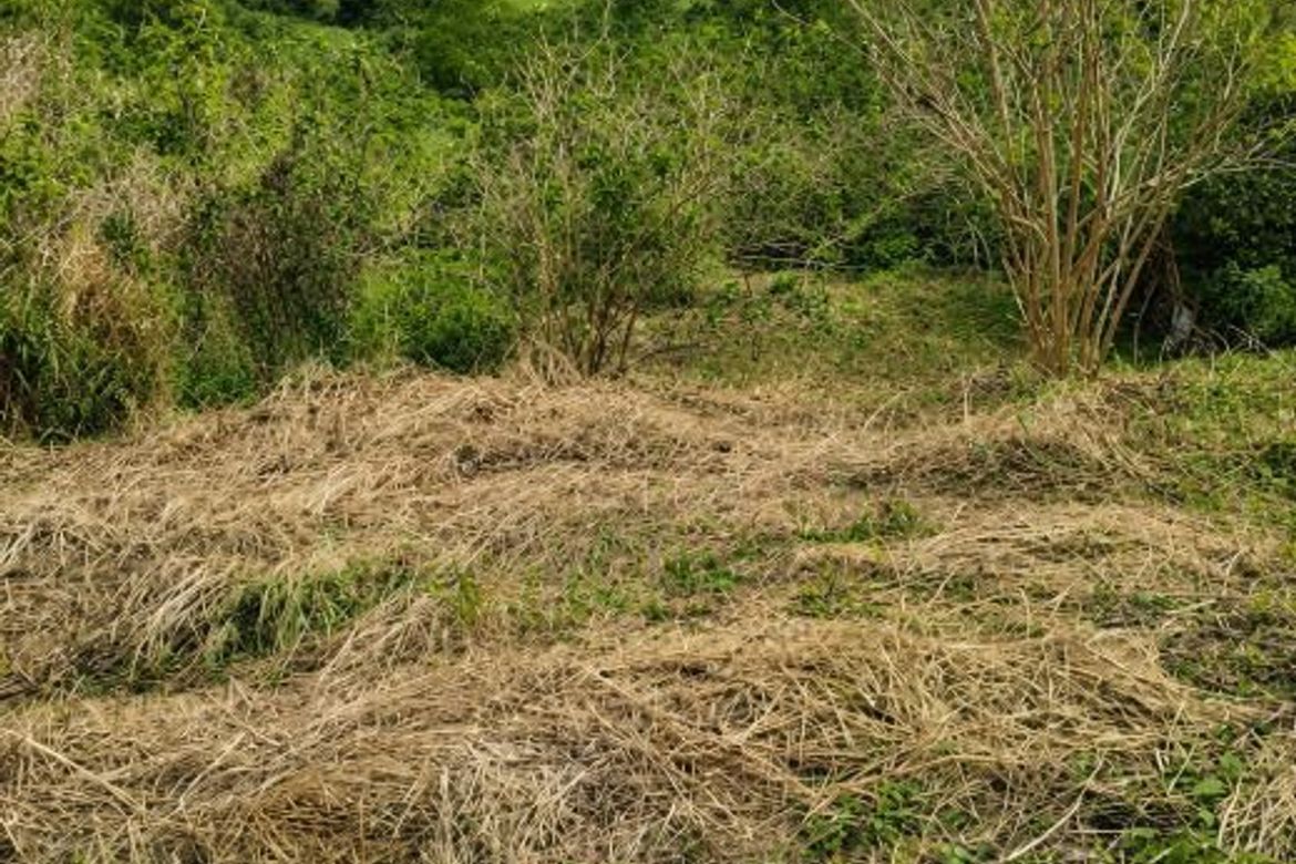 Land for Sale in Halayhayin, Pililla, Rizal – photo 6