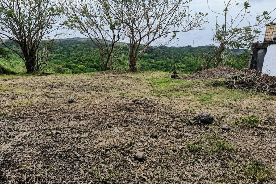 Land for Sale in Halayhayin, Pililla, Rizal – photo 7