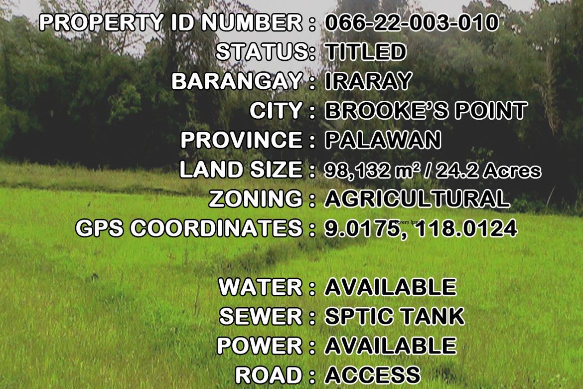 Land for Sale in Iraray, Sofronio Española, Palawan – photo 11