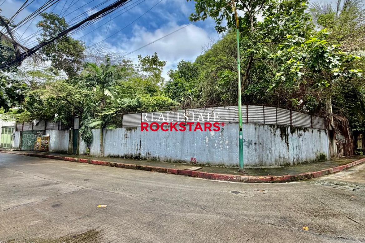 Land for Sale in La Paz, Makati City – photo 10