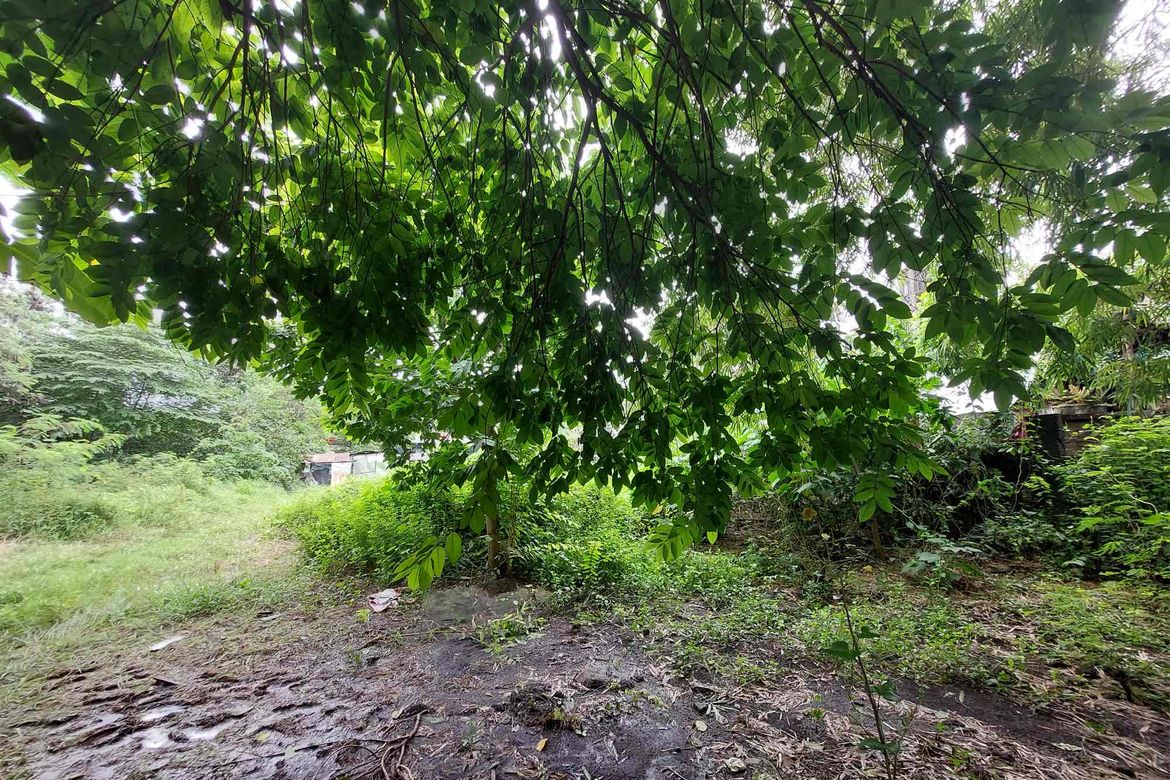 Land for Sale in Macamot, Binangonan, Rizal – photo 5