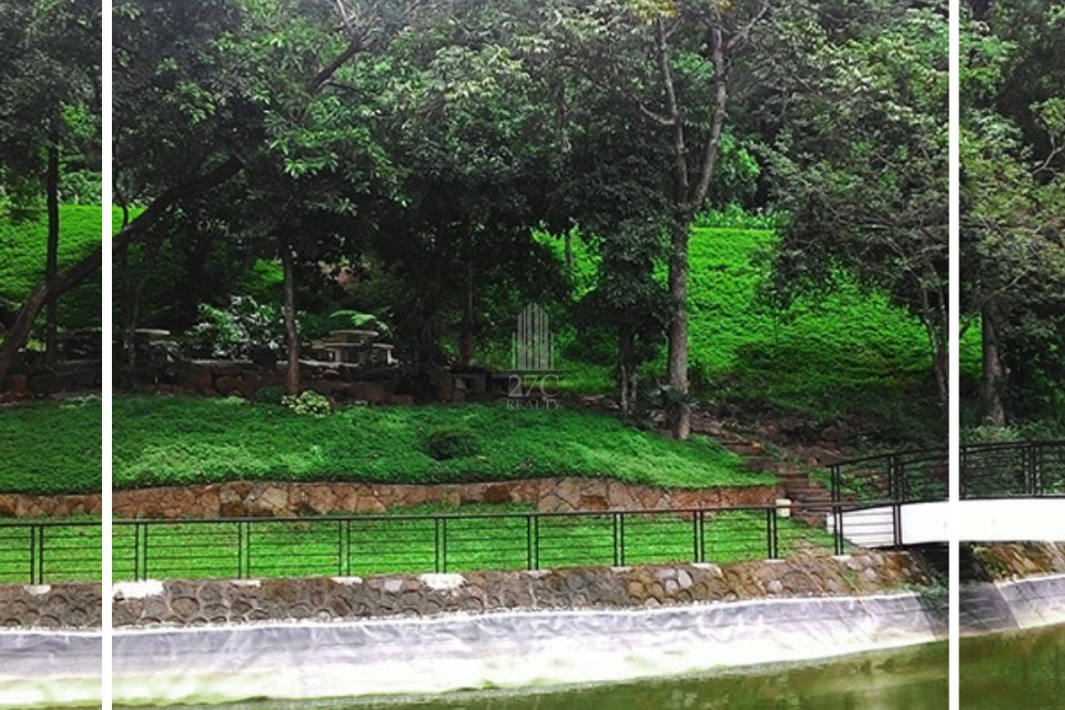 Land for Sale in Mahabang Parang, Angono, Rizal – photo 3