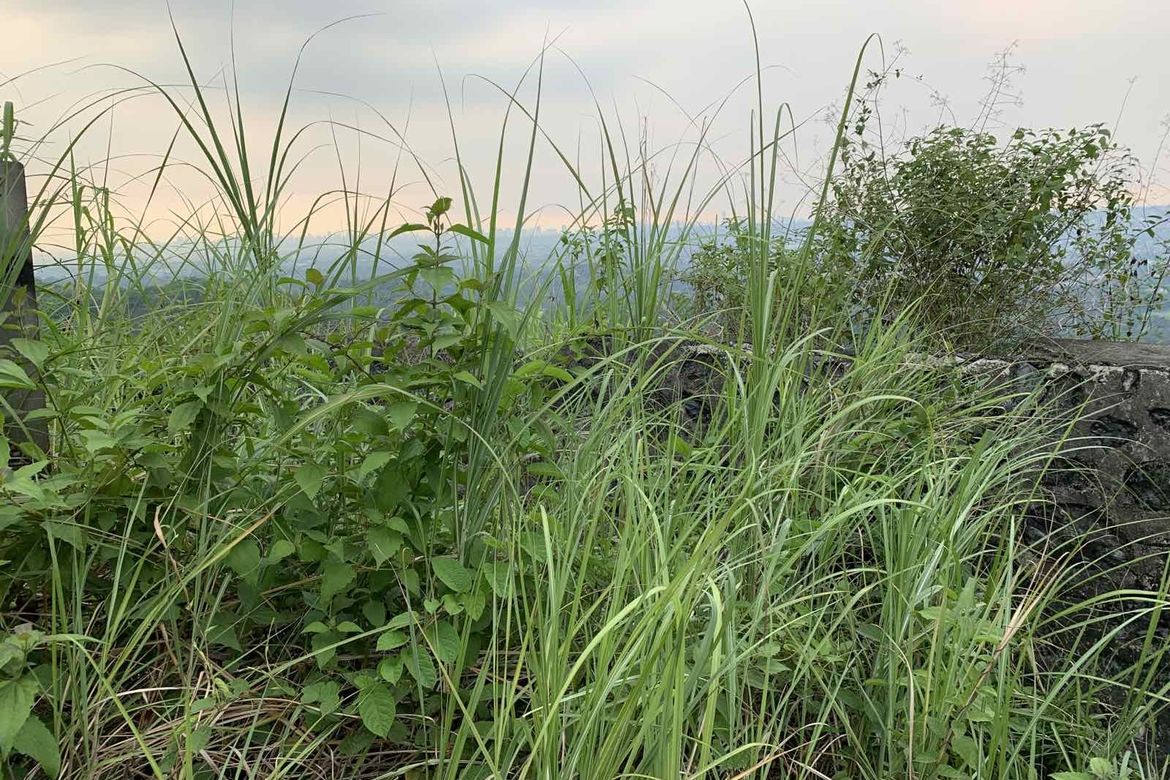 Land for Sale in Malanday, San Mateo, Rizal