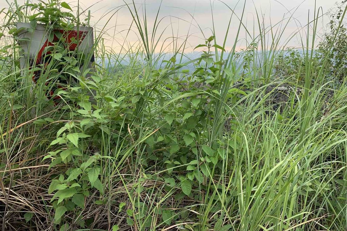 Land for Sale in Malanday, San Mateo, Rizal – photo 2