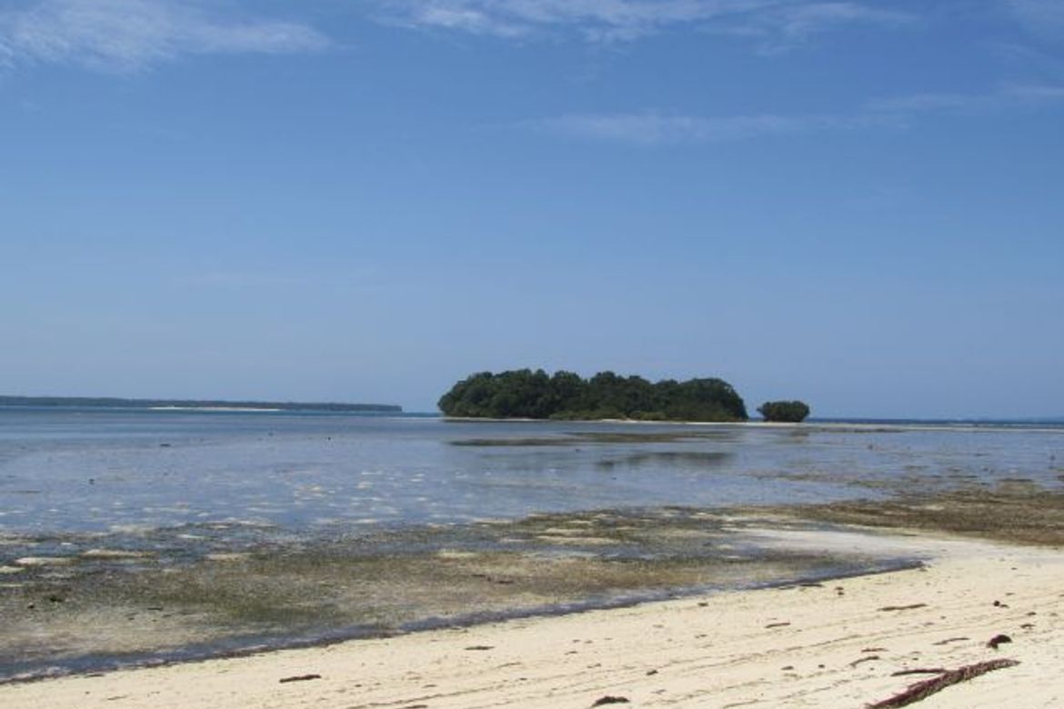 Land for Sale in Malinao, General Luna, Surigao del Norte – photo 7