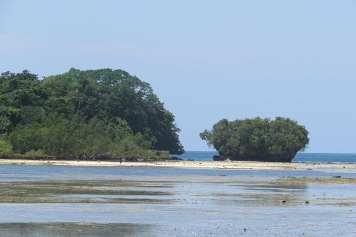 Land for Sale in Malinao, General Luna, Surigao del Norte – photo 10