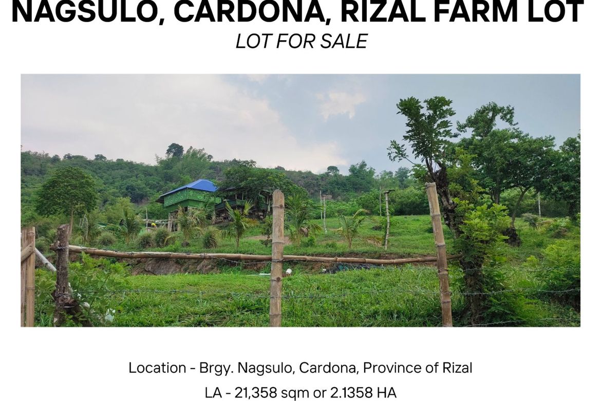 Land for Sale in Nagsulo, Cardona, Rizal