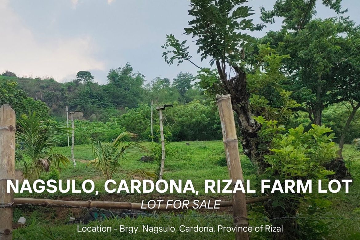 Land for Sale in Nagsulo, Cardona, Rizal – photo 3