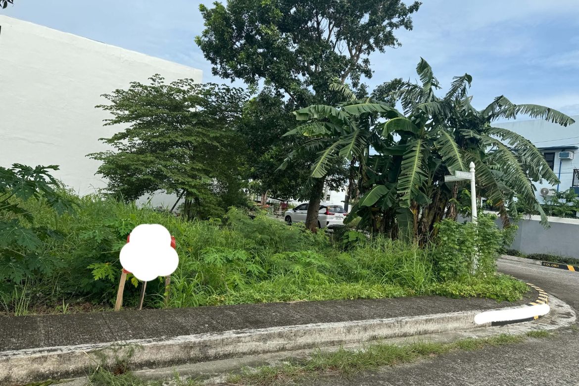 Land for Sale in Pandac, Pavia, Iloilo – photo 8