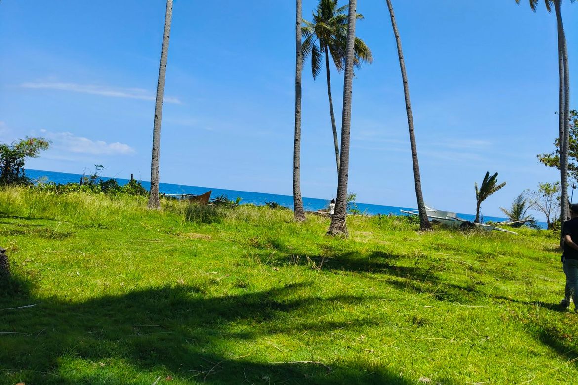 Land for Sale in Poblacion, Boljoon, Cebu – photo 7