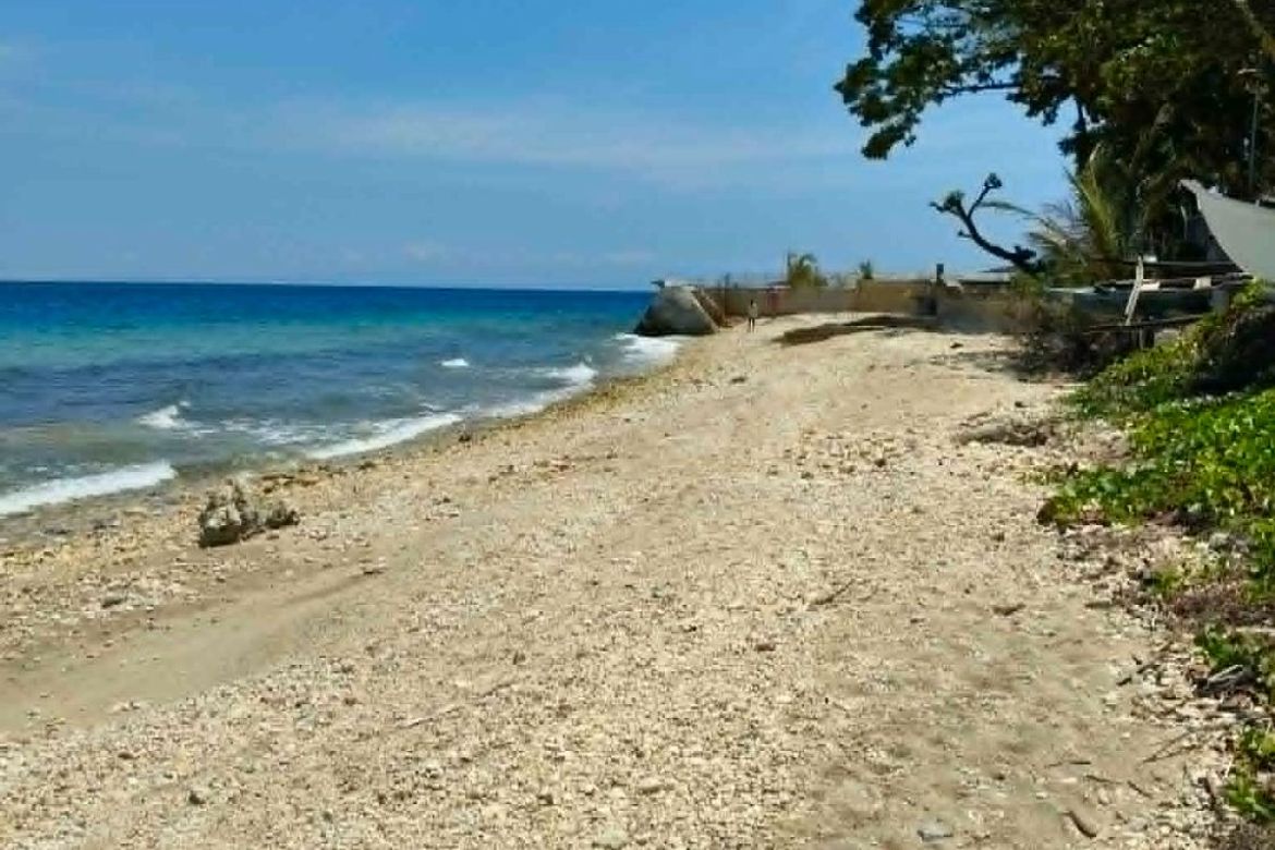 Land for Sale in Poblacion, Boljoon, Cebu – photo 9