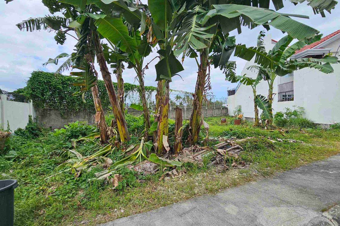 Land for Sale in Pooc, Talisay, Cebu