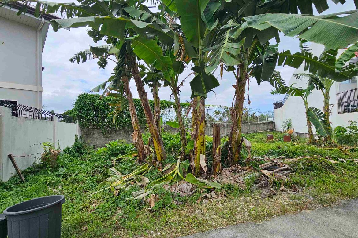 Land for Sale in Pooc, Talisay, Cebu – photo 2