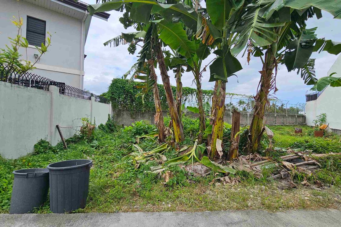 Land for Sale in Pooc, Talisay, Cebu – photo 8