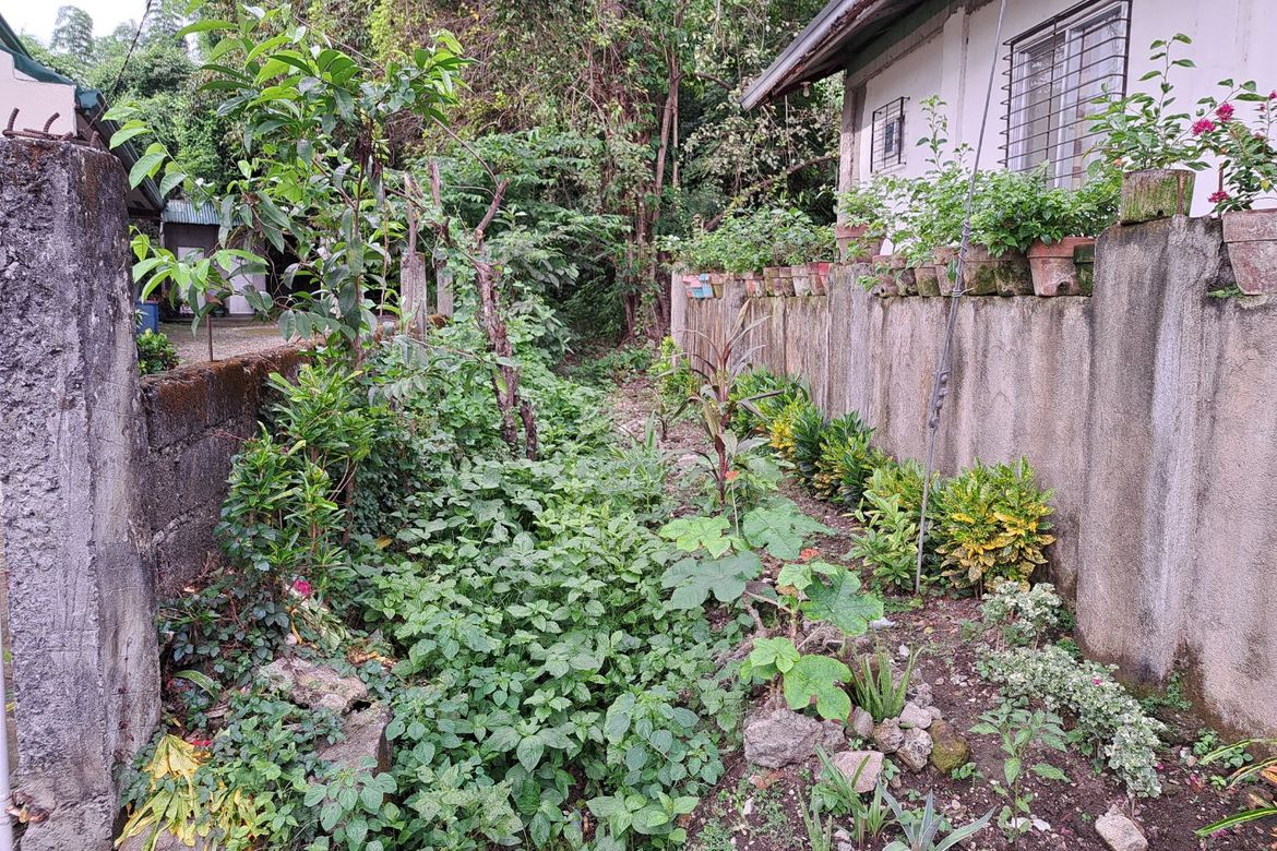 Land for Sale in Prinza, Teresa, Rizal – photo 4