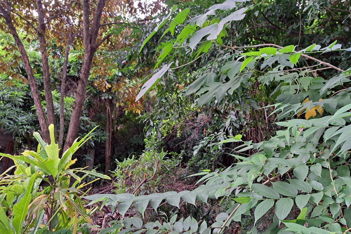 Land for Sale in Prinza, Teresa, Rizal – photo 6