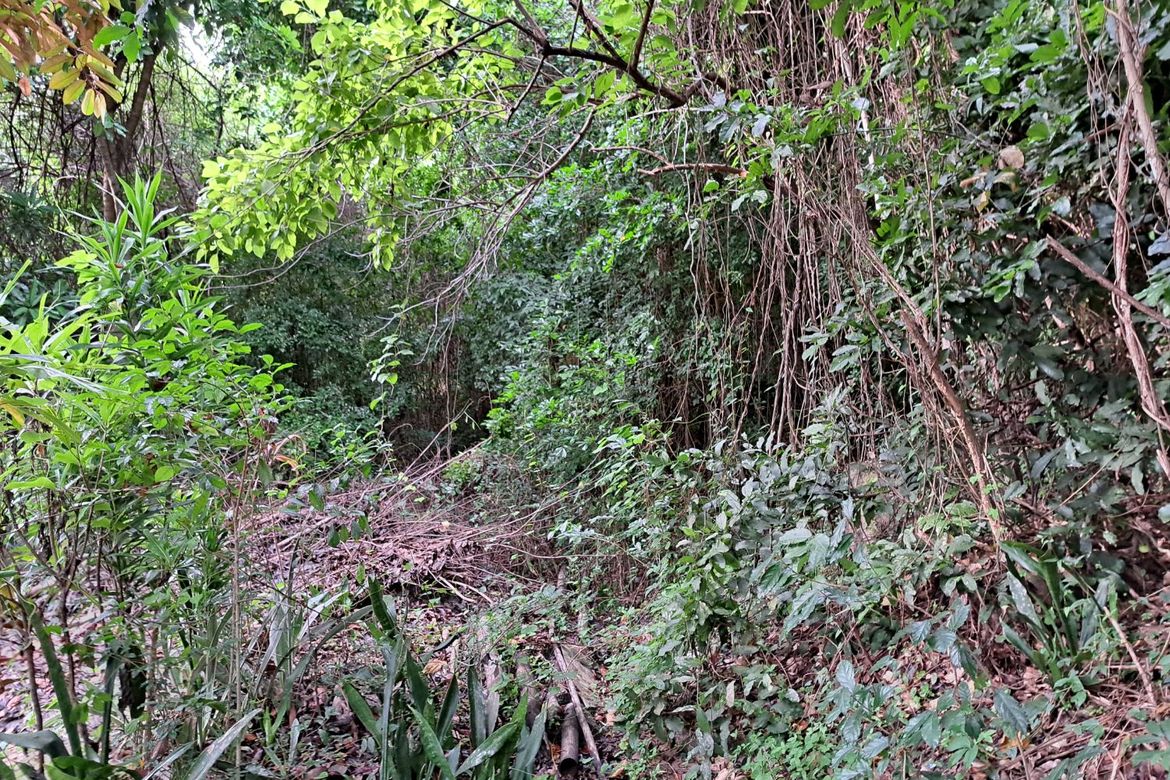 Land for Sale in Prinza, Teresa, Rizal – photo 8