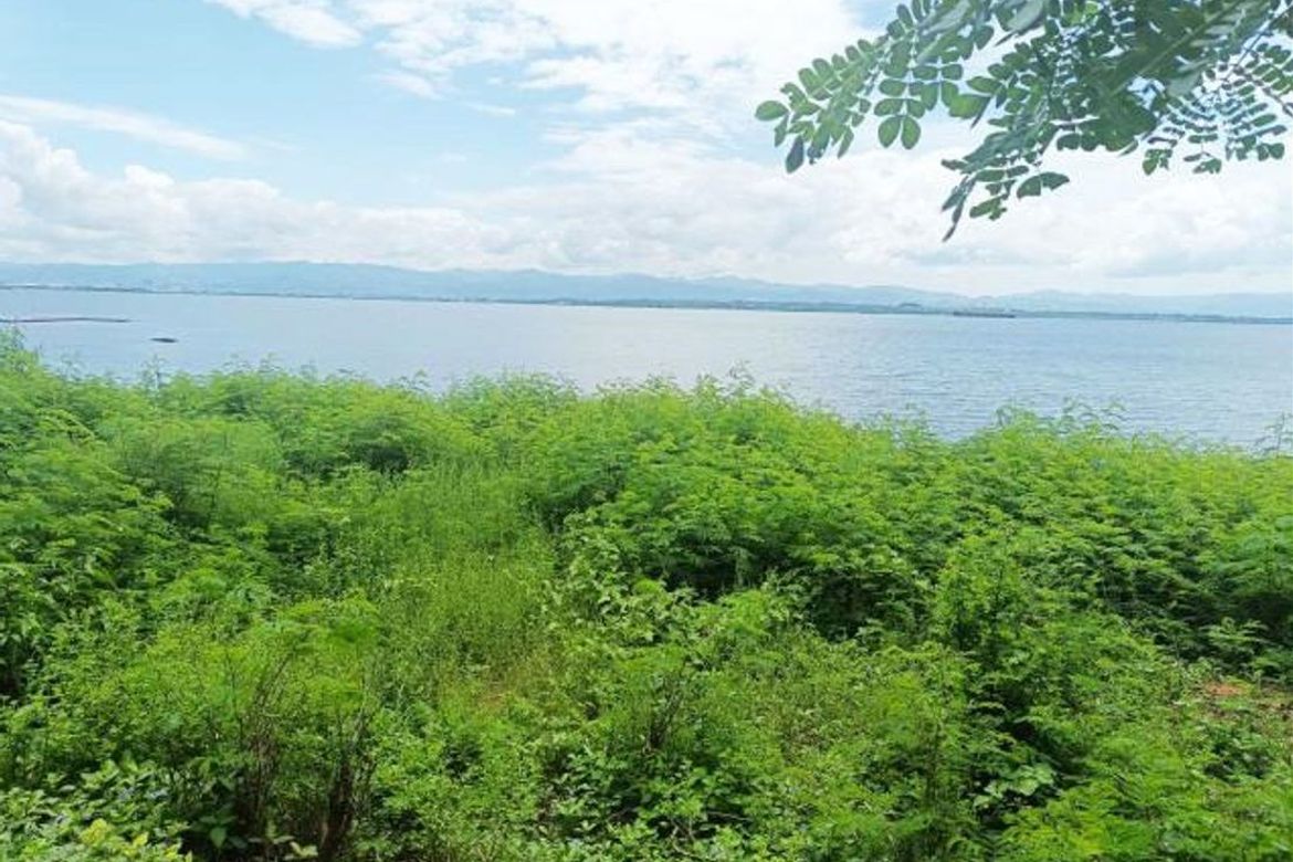 Land for Sale in Punta Engaño, Lapu-Lapu, Cebu – photo 6