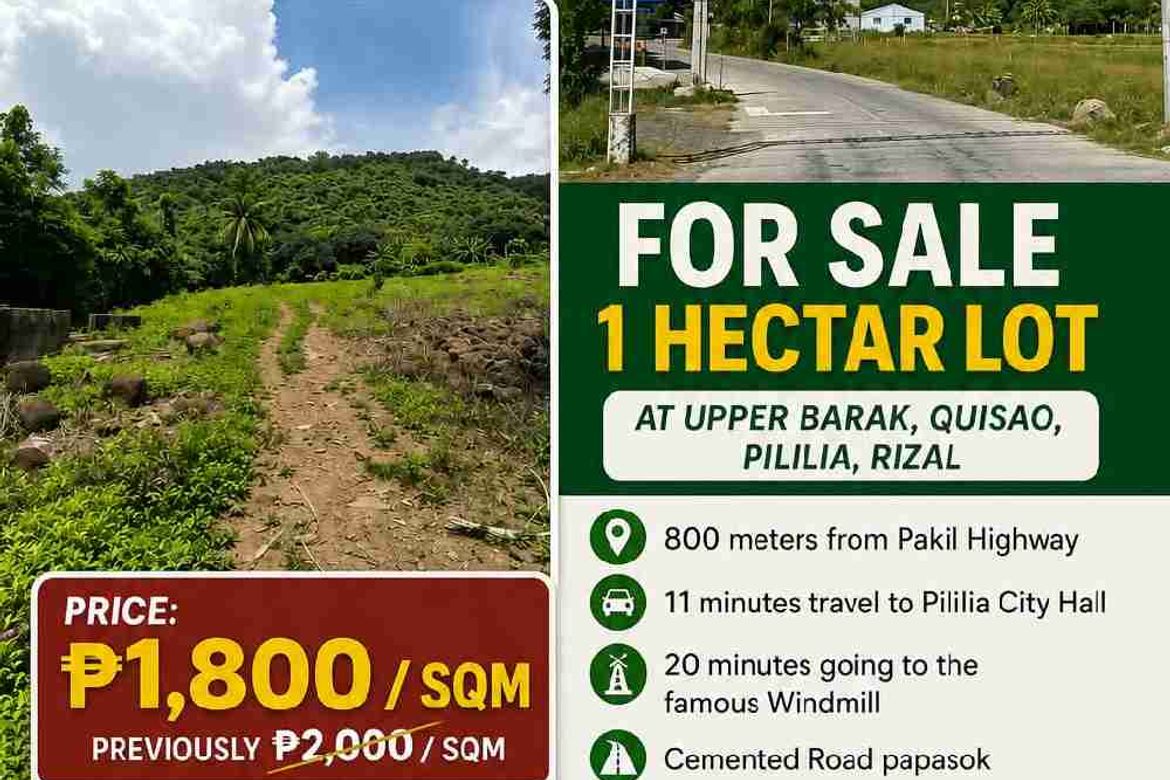 Land for Sale in Quisao, Pililla, Rizal