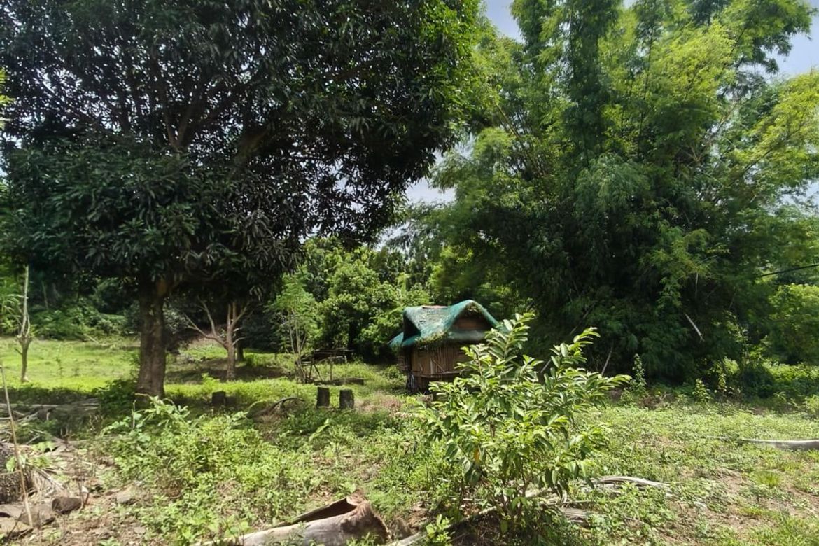 Land for Sale in Quisao, Pililla, Rizal – photo 3