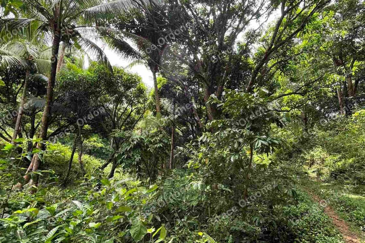 Land for Sale in Sampaloc, Tanay, Rizal – photo 6