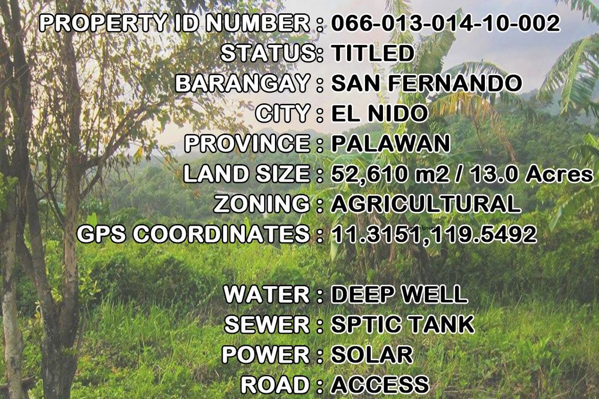 Land for Sale in San Fernando, El Nido, Palawan – photo 12