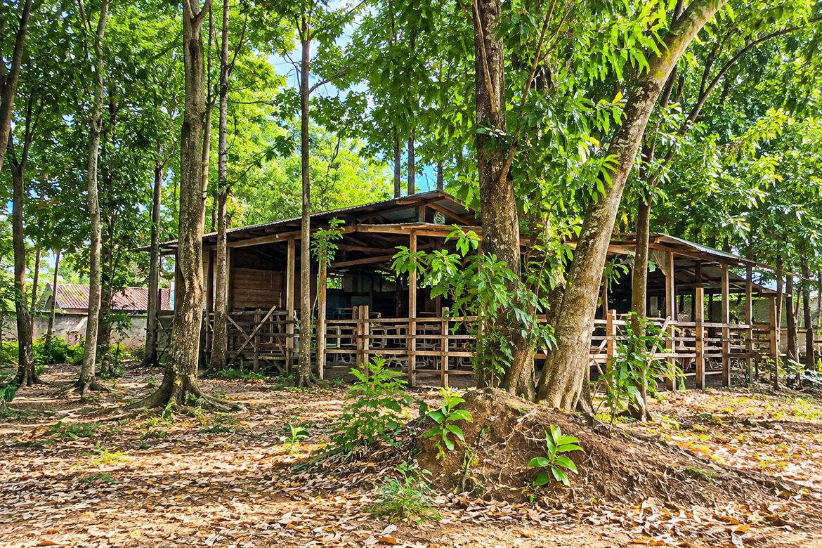 Land for Sale in San Jose, Baras, Rizal