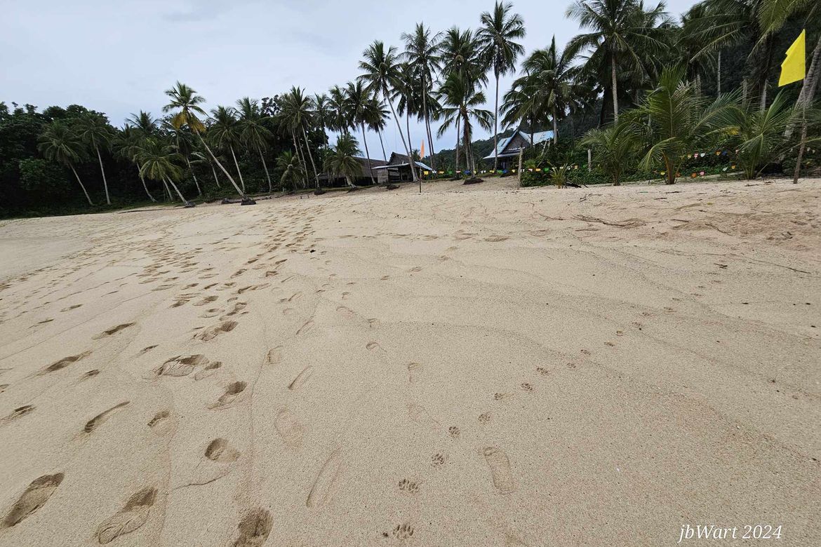 Land for Sale in San Mateo, Burgos, Surigao del Norte – photo 2