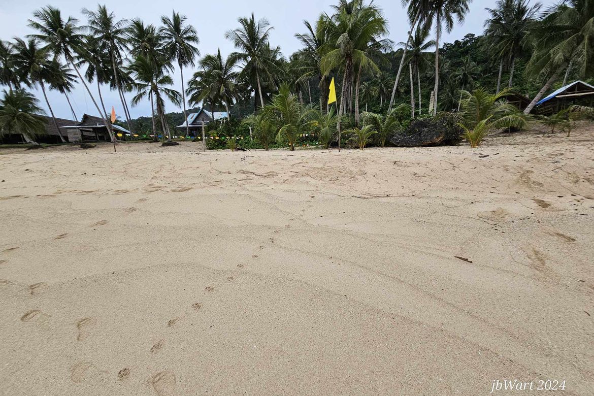 Land for Sale in San Mateo, Burgos, Surigao del Norte – photo 3