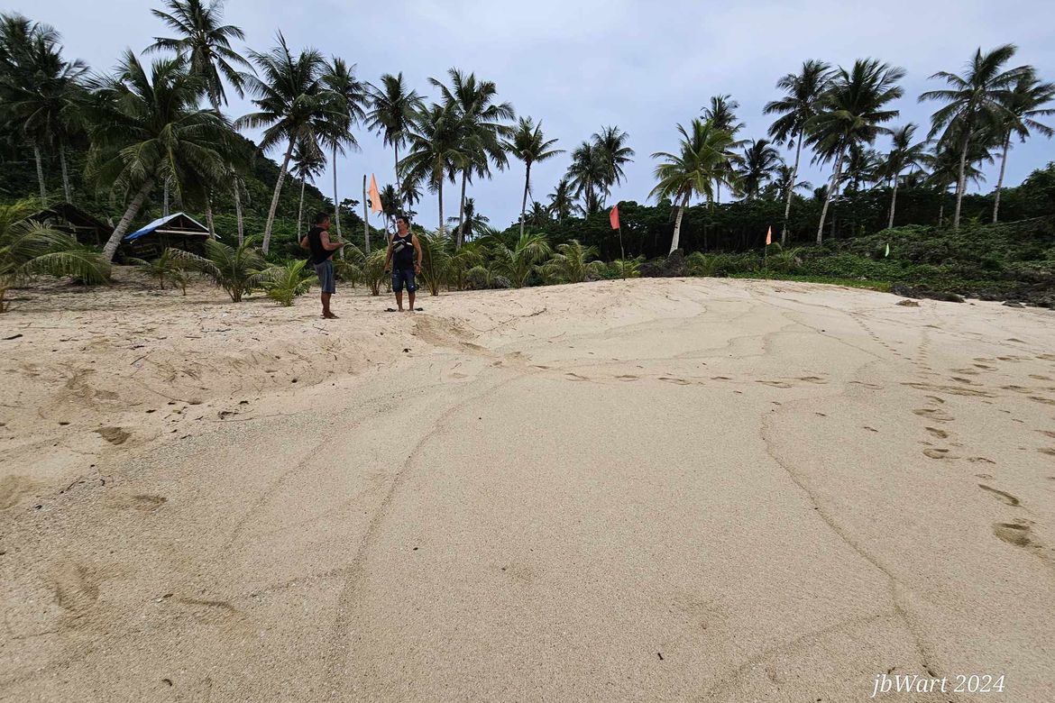 Land for Sale in San Mateo, Burgos, Surigao del Norte – photo 6