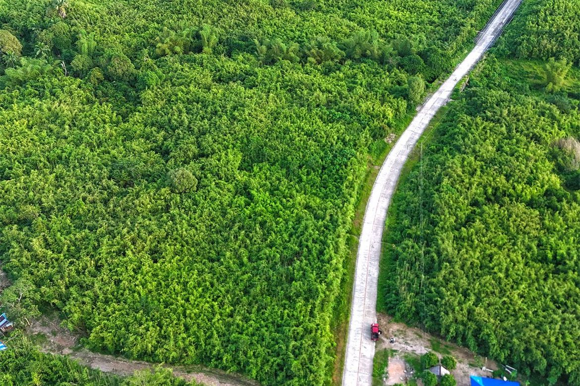 Land for Sale in San Rafael, Busuanga, Palawan – photo 3