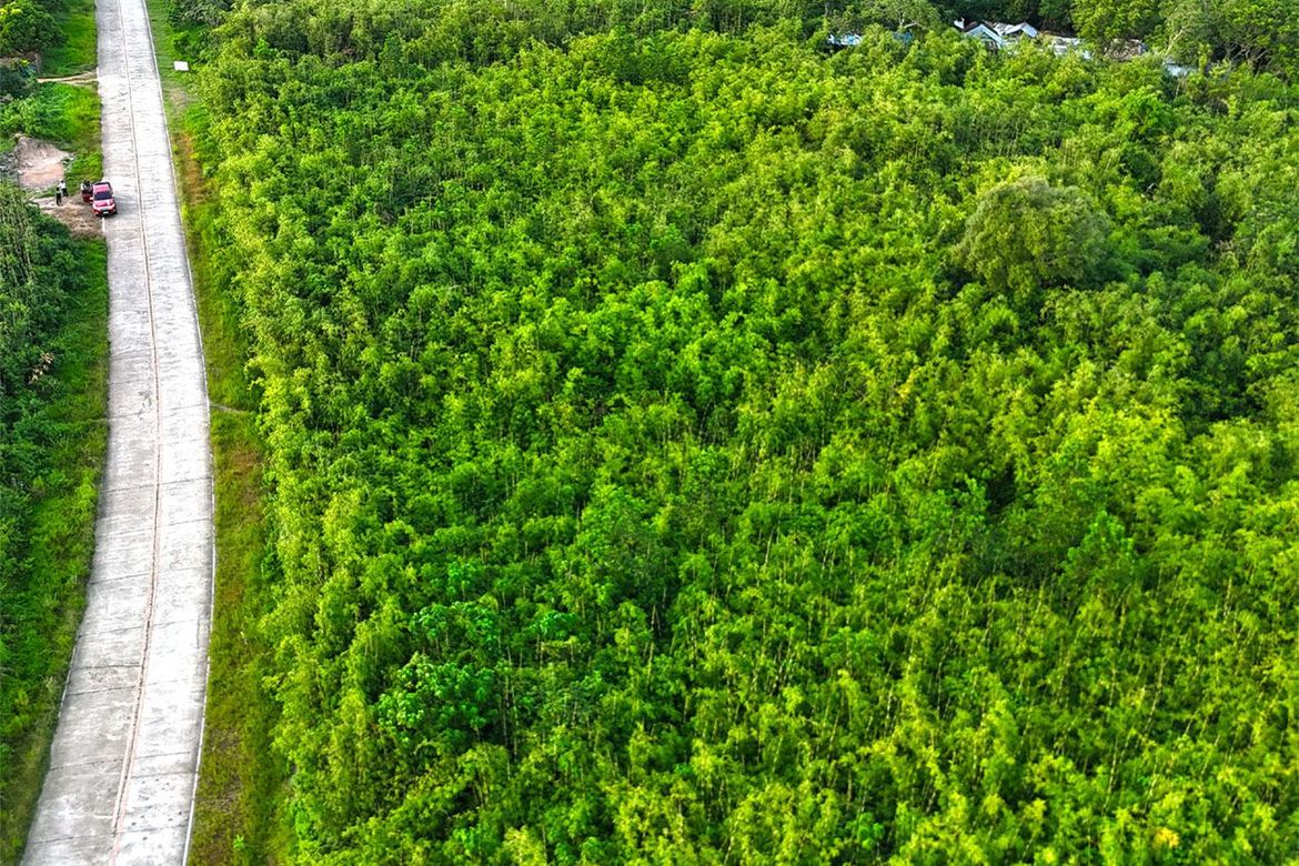 Land for Sale in San Rafael, Busuanga, Palawan – photo 5