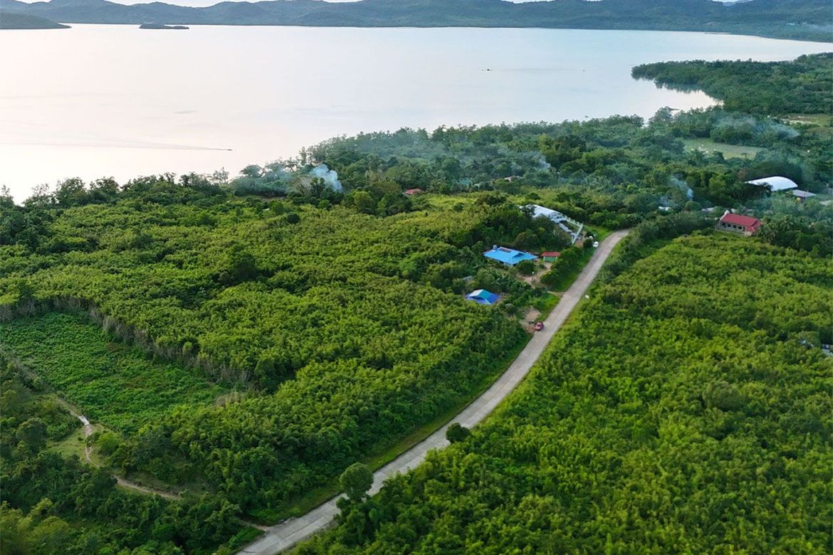 Land for Sale in San Rafael, Busuanga, Palawan – photo 8