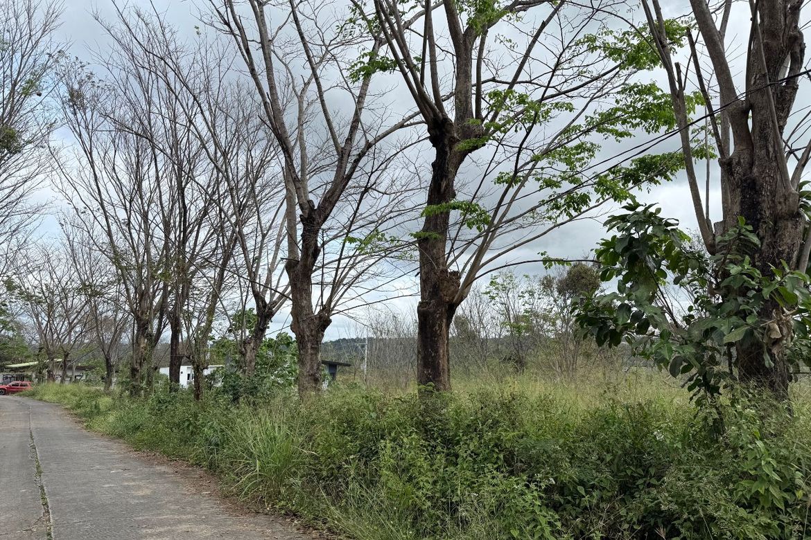 Land for Sale in San Roque, Angono, Rizal – photo 4