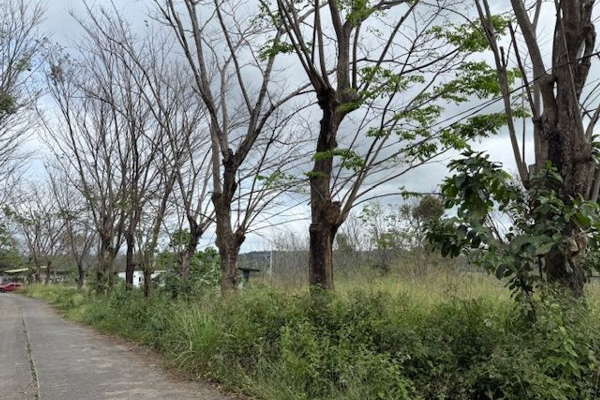 Land for Sale in San Roque, Angono, Rizal – photo 5