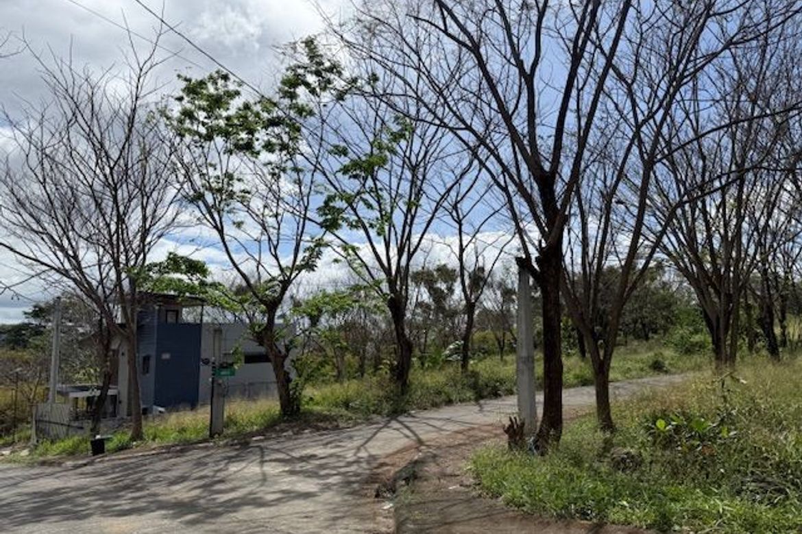 Land for Sale in San Roque, Angono, Rizal – photo 7