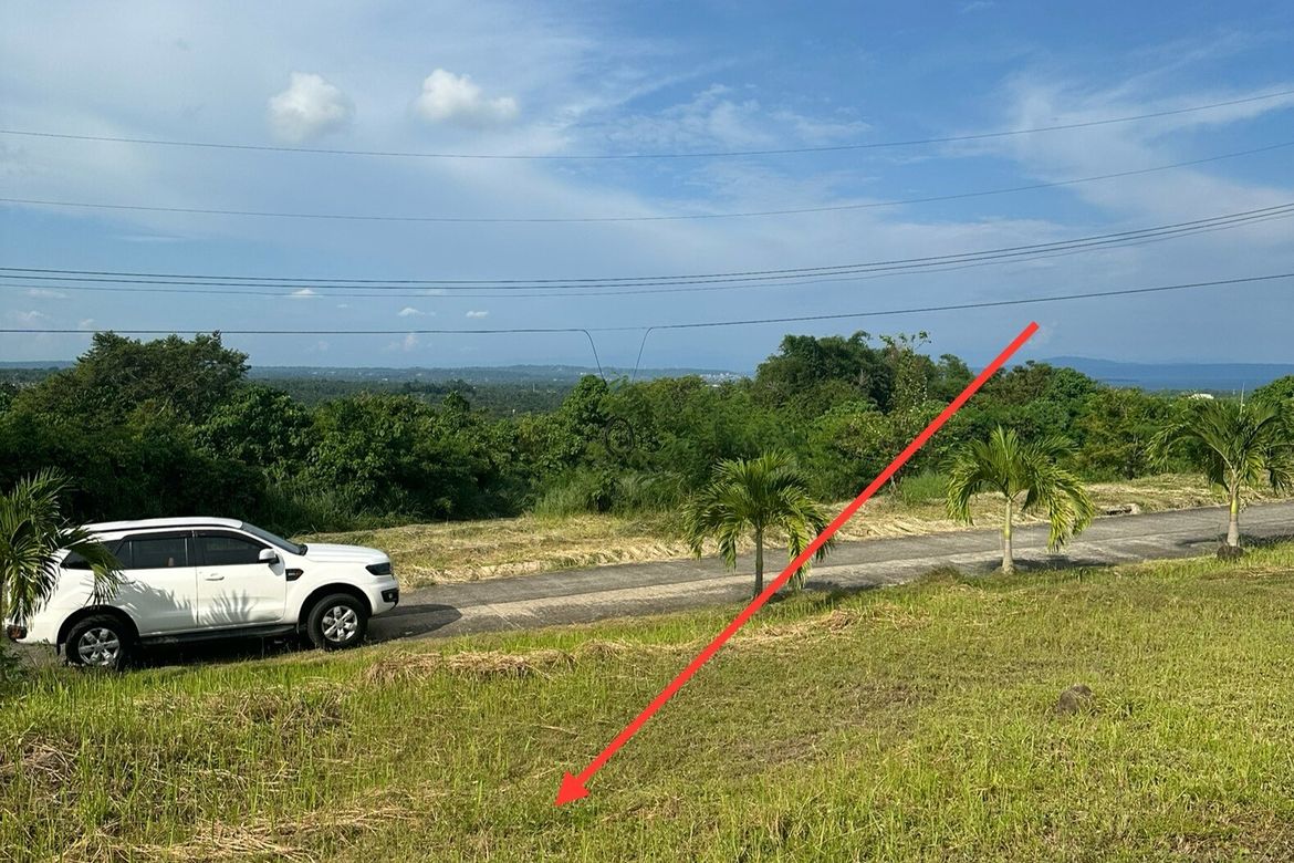 Land for Sale in Sirawan, Davao City, Davao del Sur – photo 5