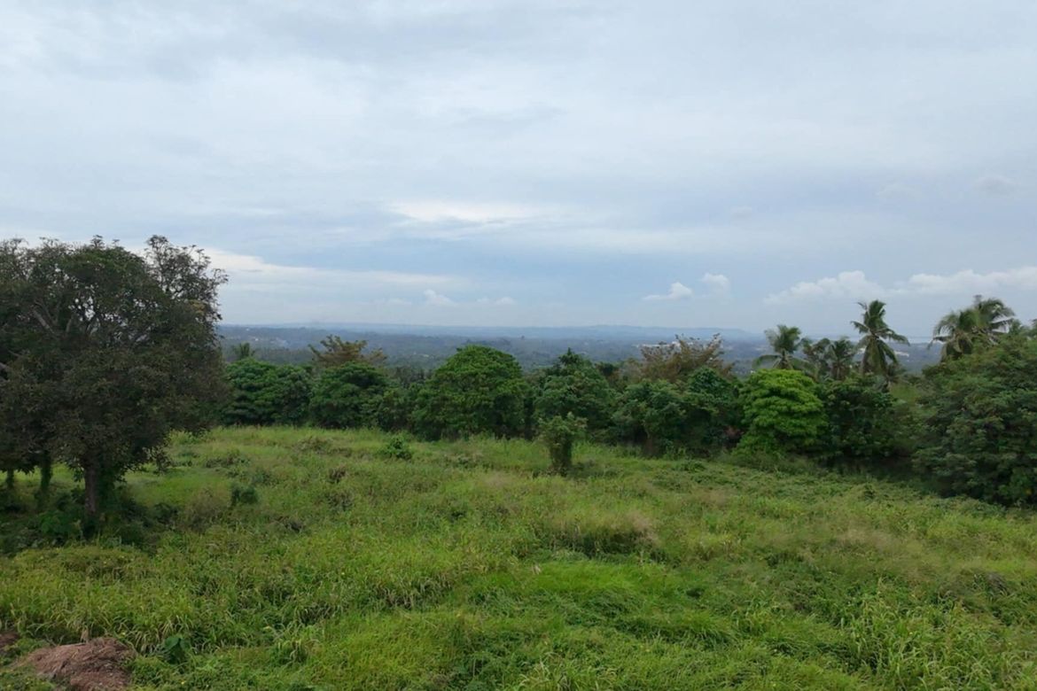 Land for Sale in Sirawan, Davao City, Davao del Sur – photo 7