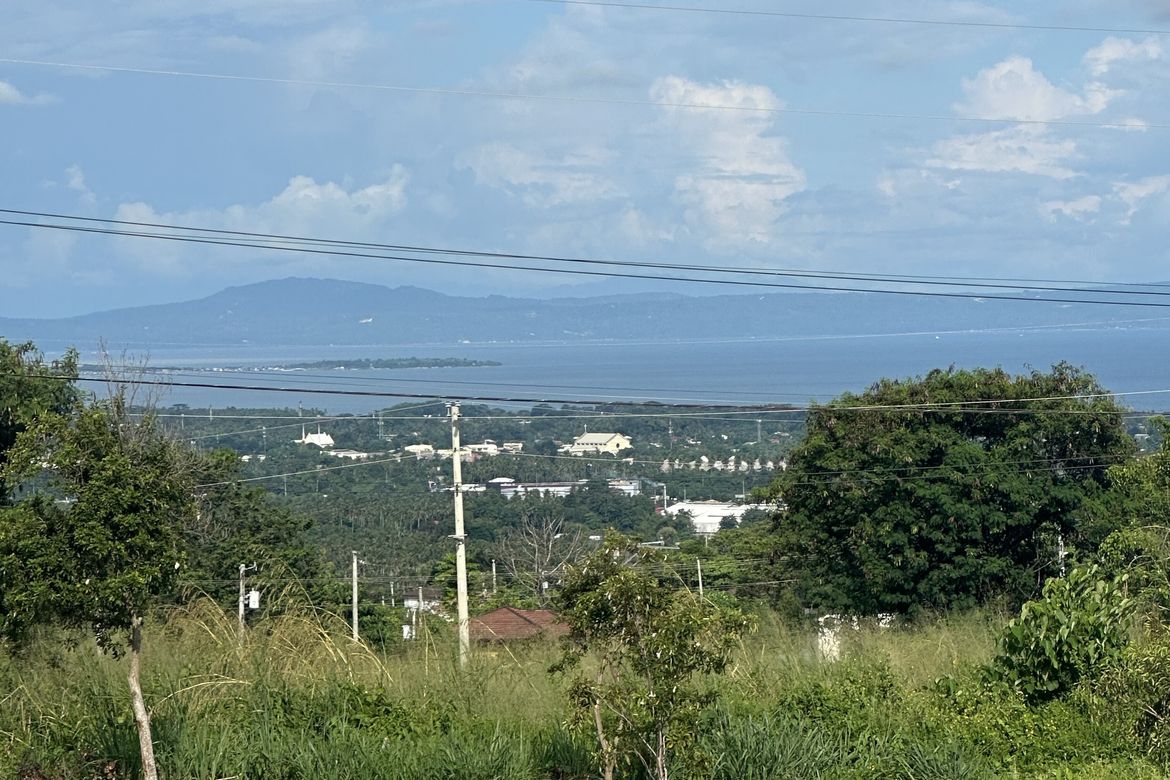 Land for Sale in Sirawan, Davao City, Davao del Sur – photo 10