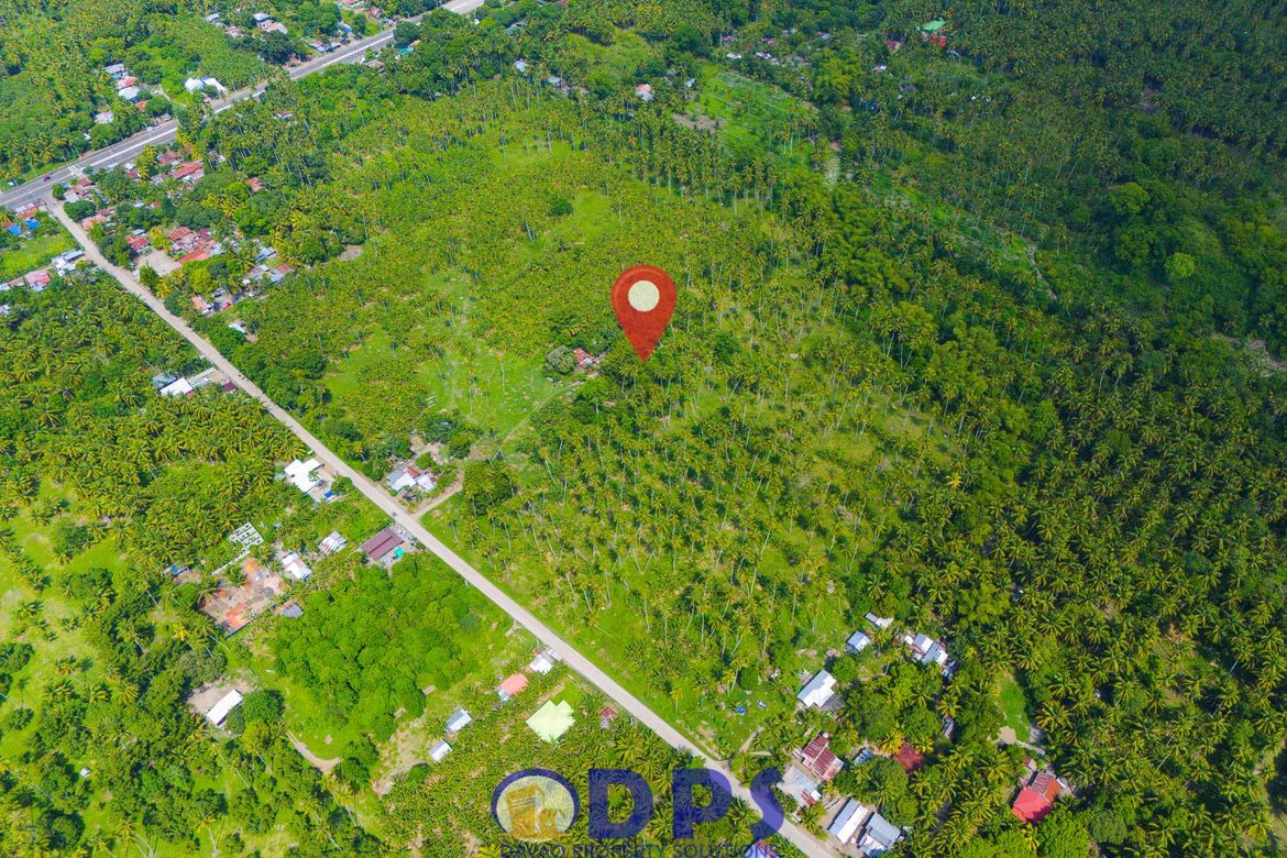 Land for Sale in Talas, Sulop, Davao del Sur – photo 2