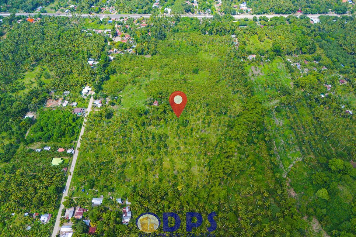 Land for Sale in Talas, Sulop, Davao del Sur – photo 3