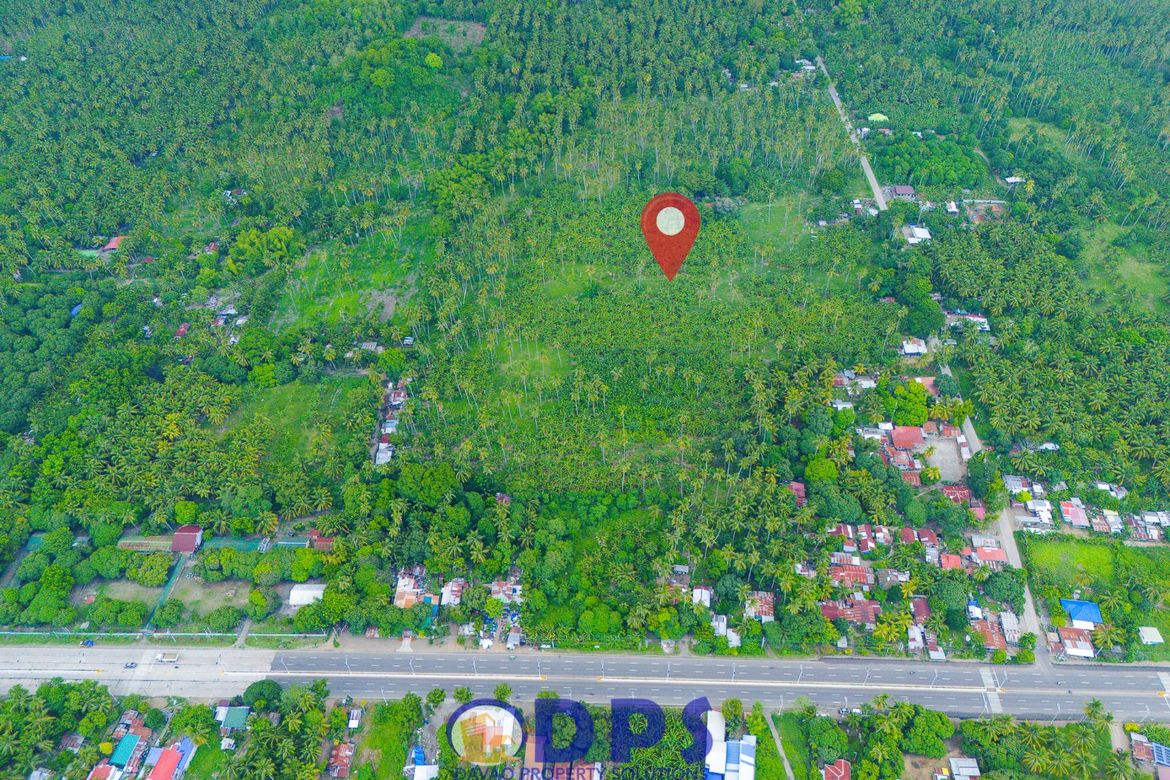 Land for Sale in Talas, Sulop, Davao del Sur – photo 6