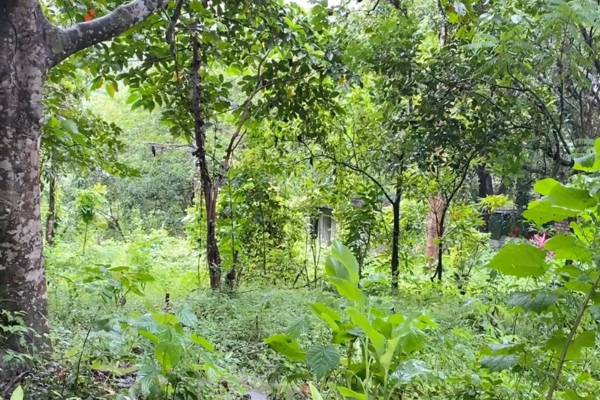 Land for Sale in Tandang Kutyo, Tanay, Rizal