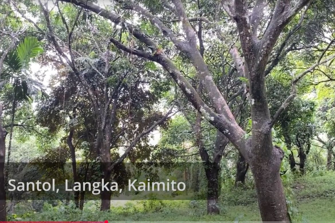 Land for Sale in Tandang Kutyo, Tanay, Rizal – photo 2